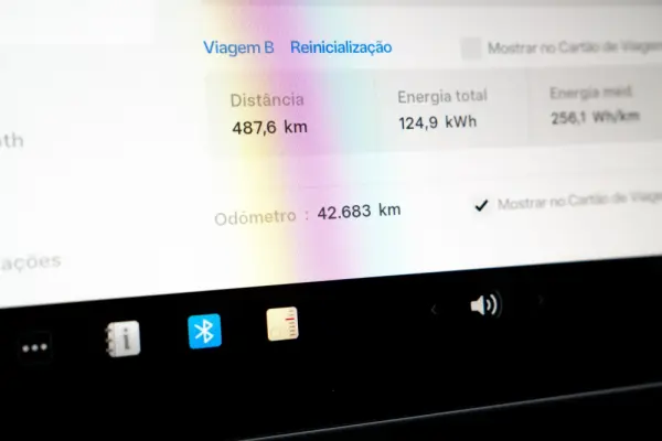 Tesla Model Y Performance Dual Motor AWD 16