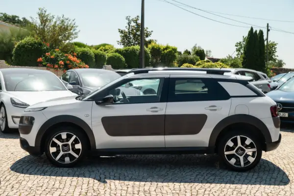 Citroen C4 Cactus 1.6 BlueHDi Feel 5