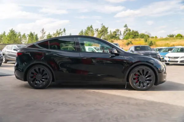 Tesla Model Y Performance Dual Motor AWD 8