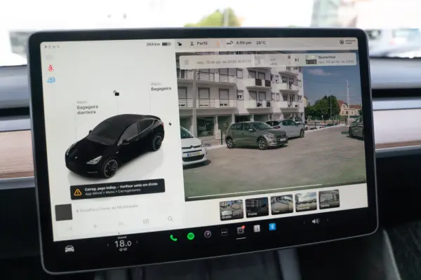 Tesla Model Y Performance Dual Motor AWD 18
