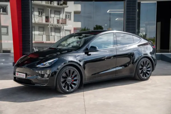 Tesla Model Y Performance Dual Motor AWD 9