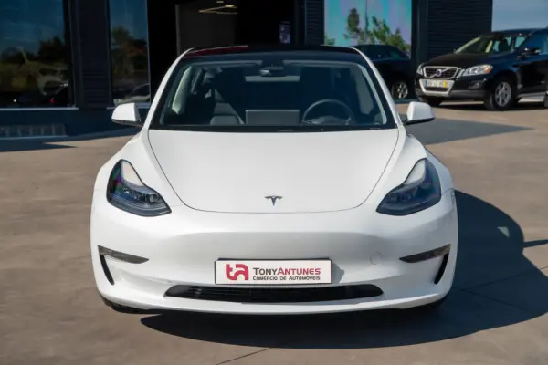 Tesla Model 3 Long Range RWD 10