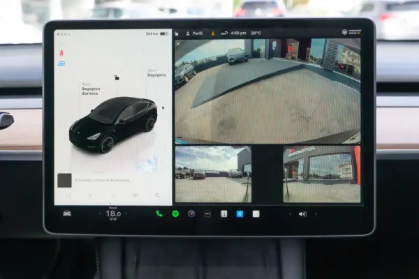 Tesla Model Y Performance Dual Motor AWD 17