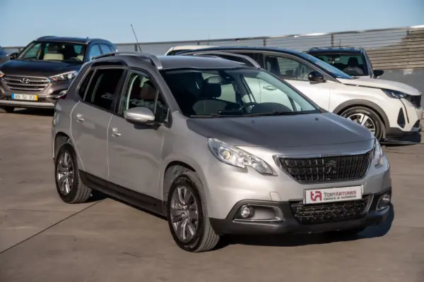 Peugeot 2008 1.6 BlueHDi Access 13