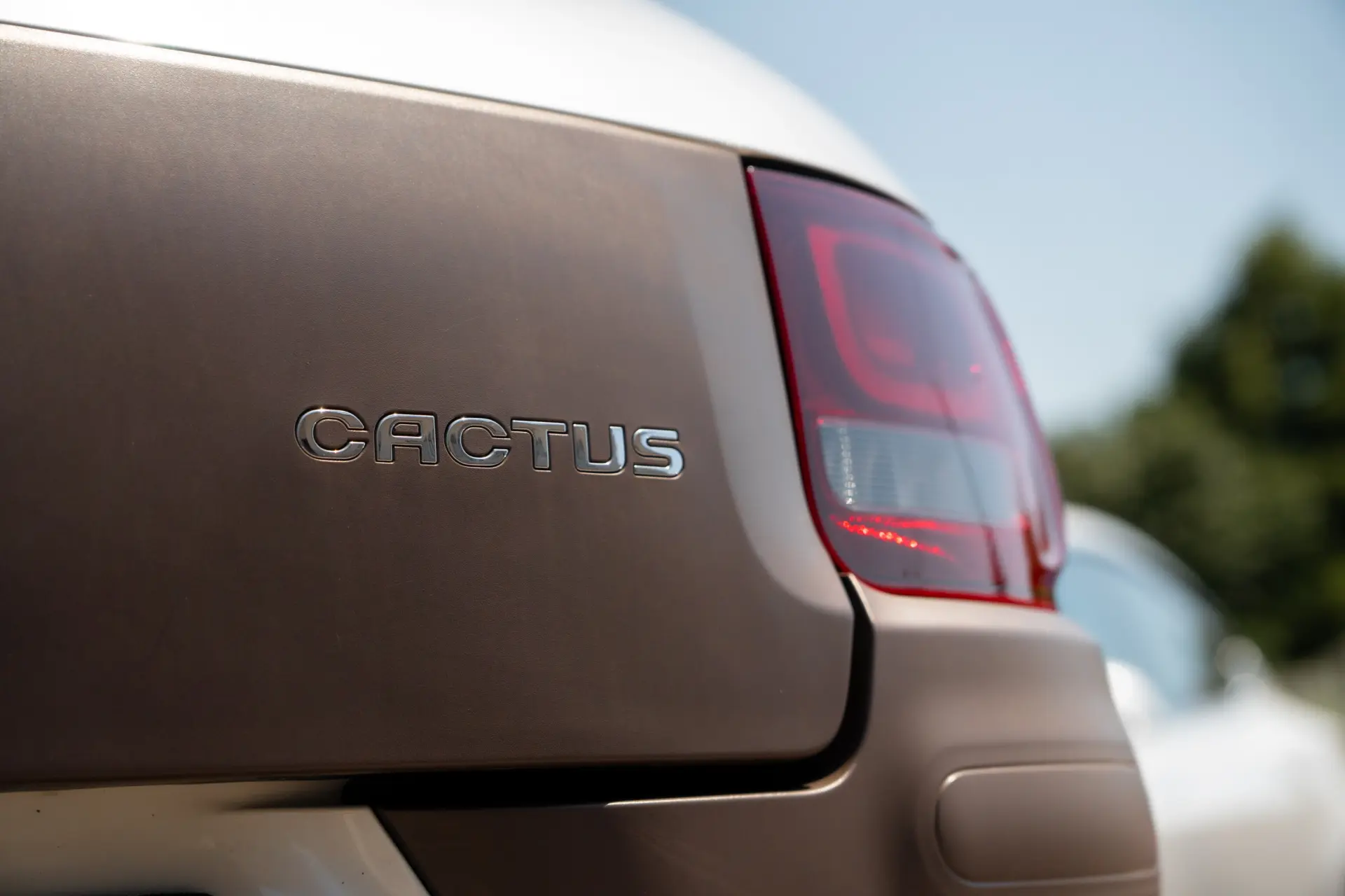 Citroen C4 Cactus 1.6 BlueHDi Feel 19