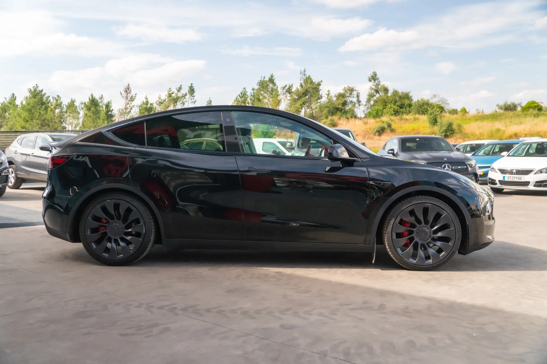 Tesla Model Y Performance Dual Motor AWD 8