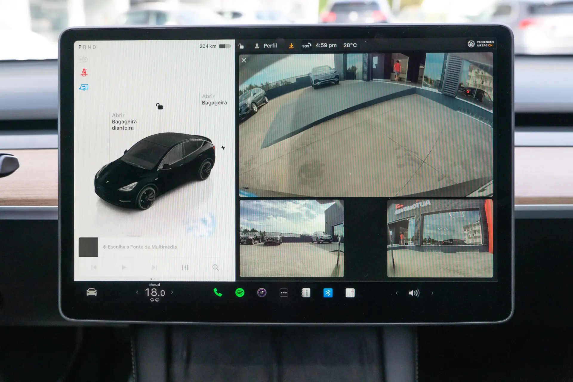 Tesla Model Y Performance Dual Motor AWD 17