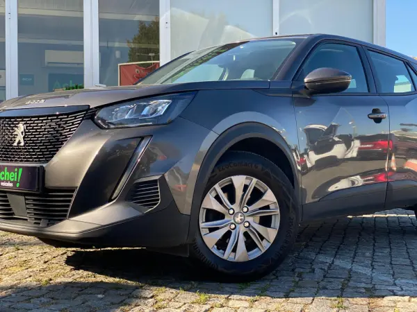 Peugeot 2008 1.2 PureTech Active Pack 19