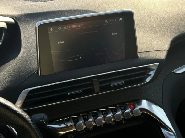 Peugeot 5008 null 32