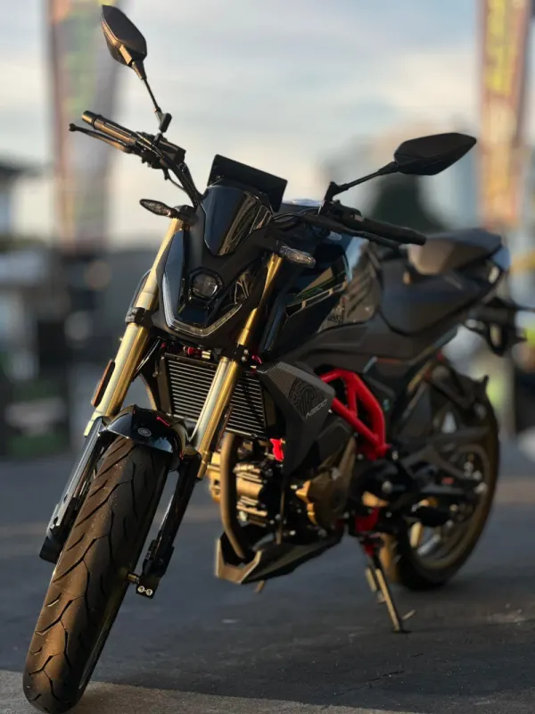 Morbidelli N300 N300 2