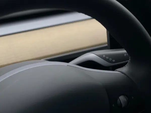 Tesla Model Y Standard 22