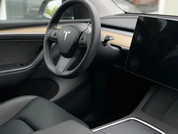 Tesla Model Y Standard 9