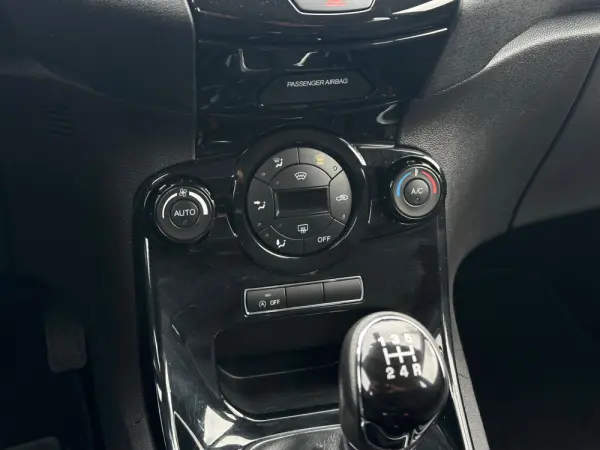 Ford Fiesta 14