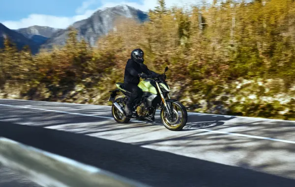 Morbidelli N300 N300 8