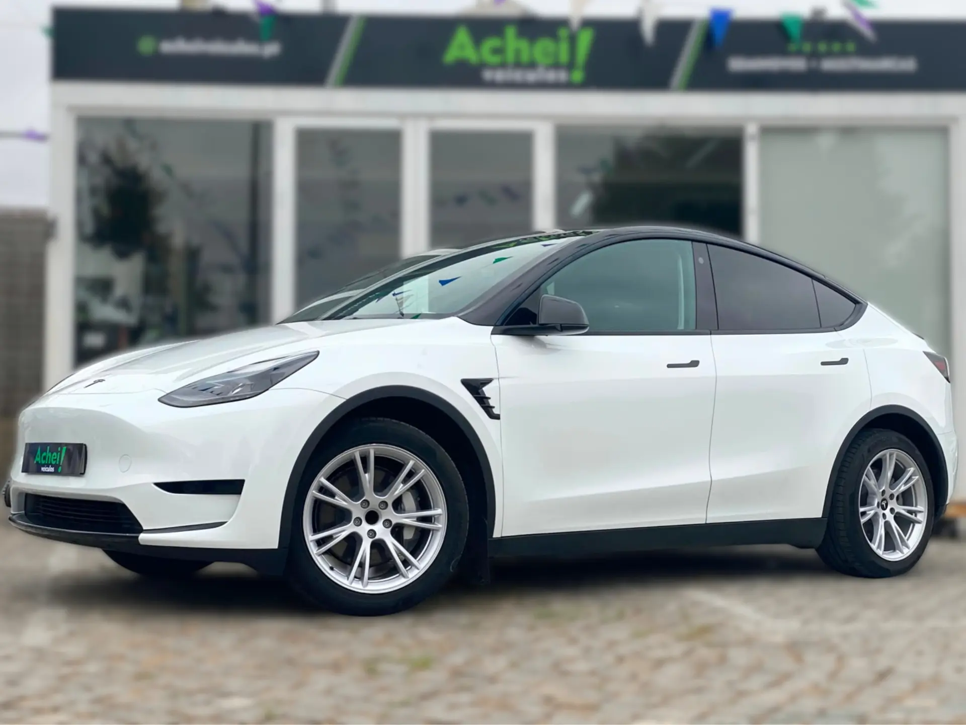 Tesla Model Y Standard 1