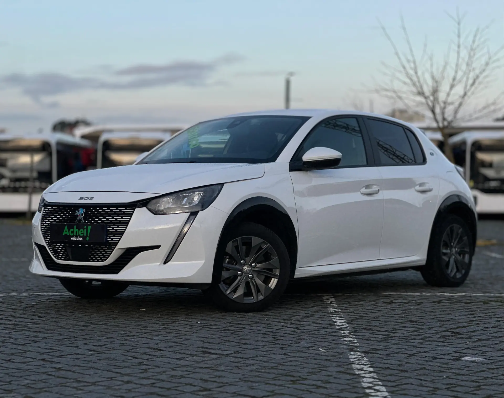 Peugeot e-208 Outro 1