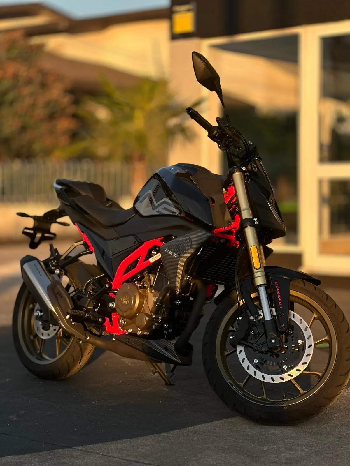 Morbidelli N300 N300 3