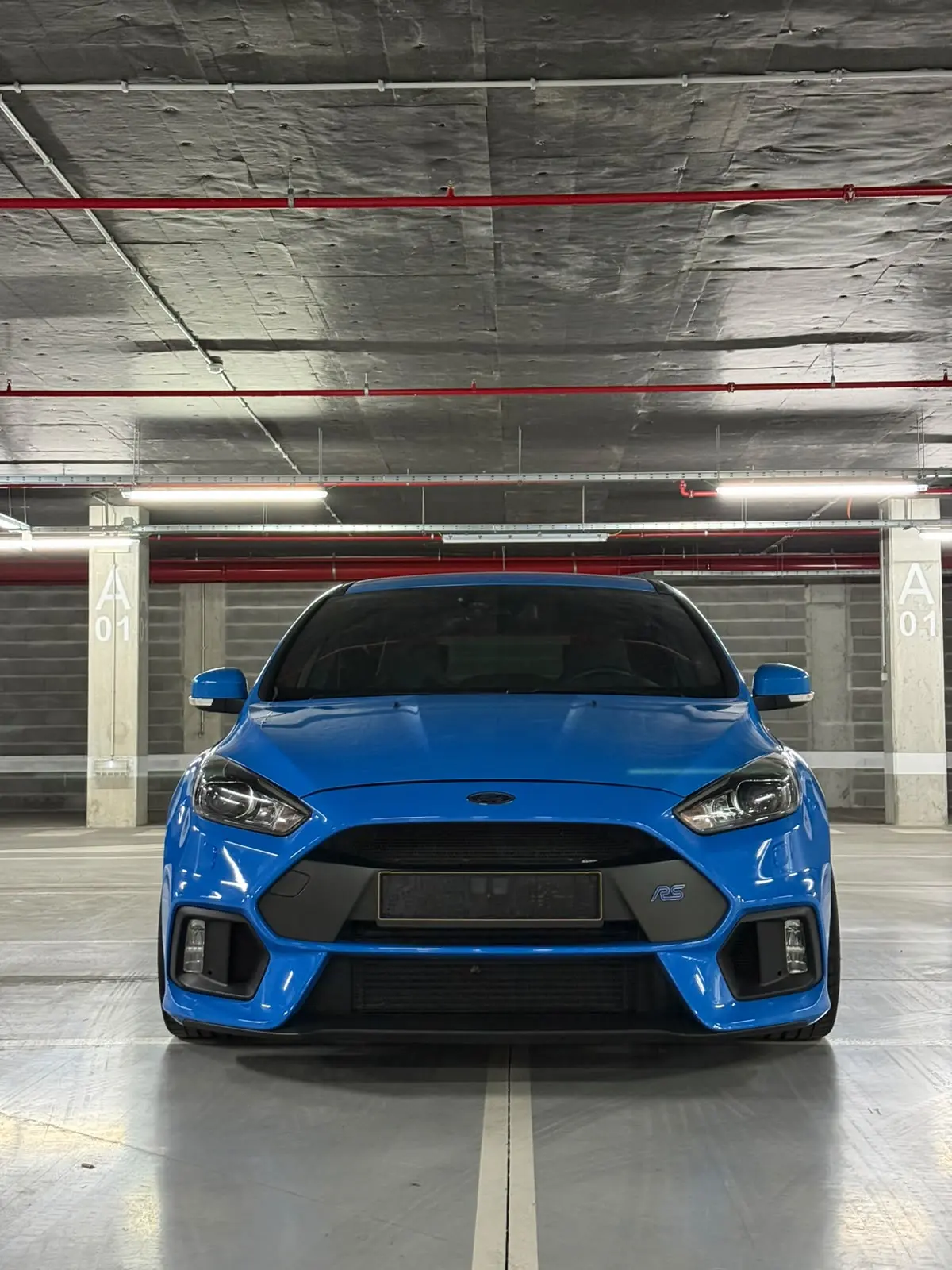 Ford Focus 16