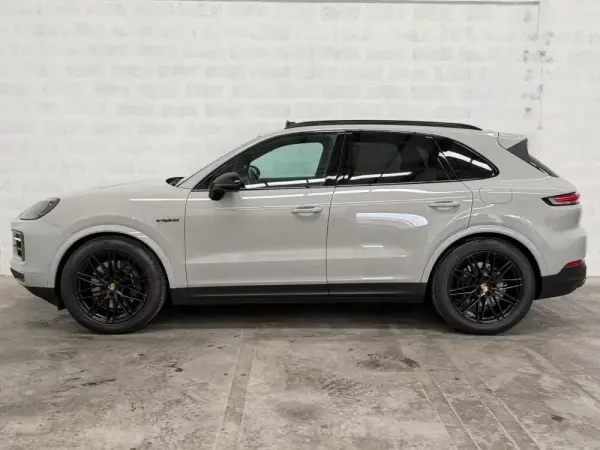 Porsche Cayenne E-Hybrid 48