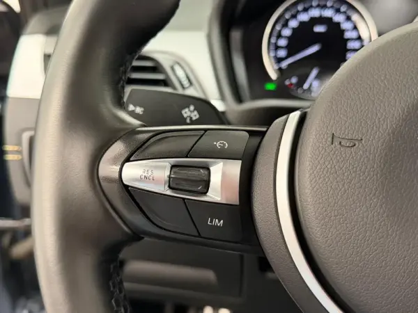 BMW X2 25 e xDrive Pack 50 anos M 14