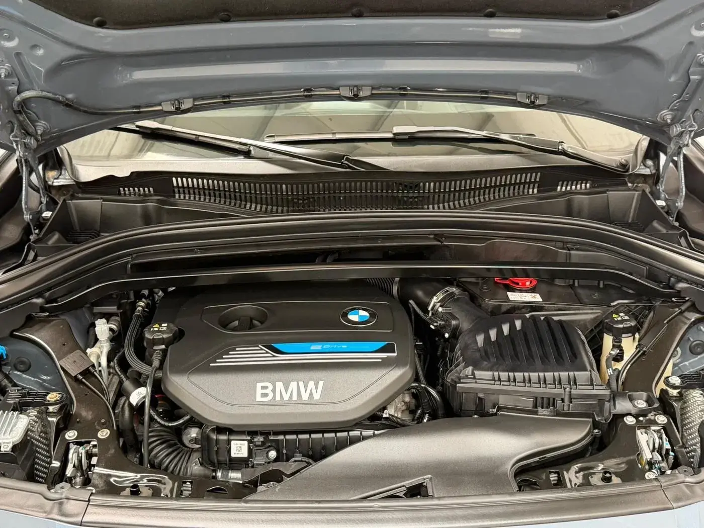 BMW X2 25 e xDrive Pack 50 anos M 48
