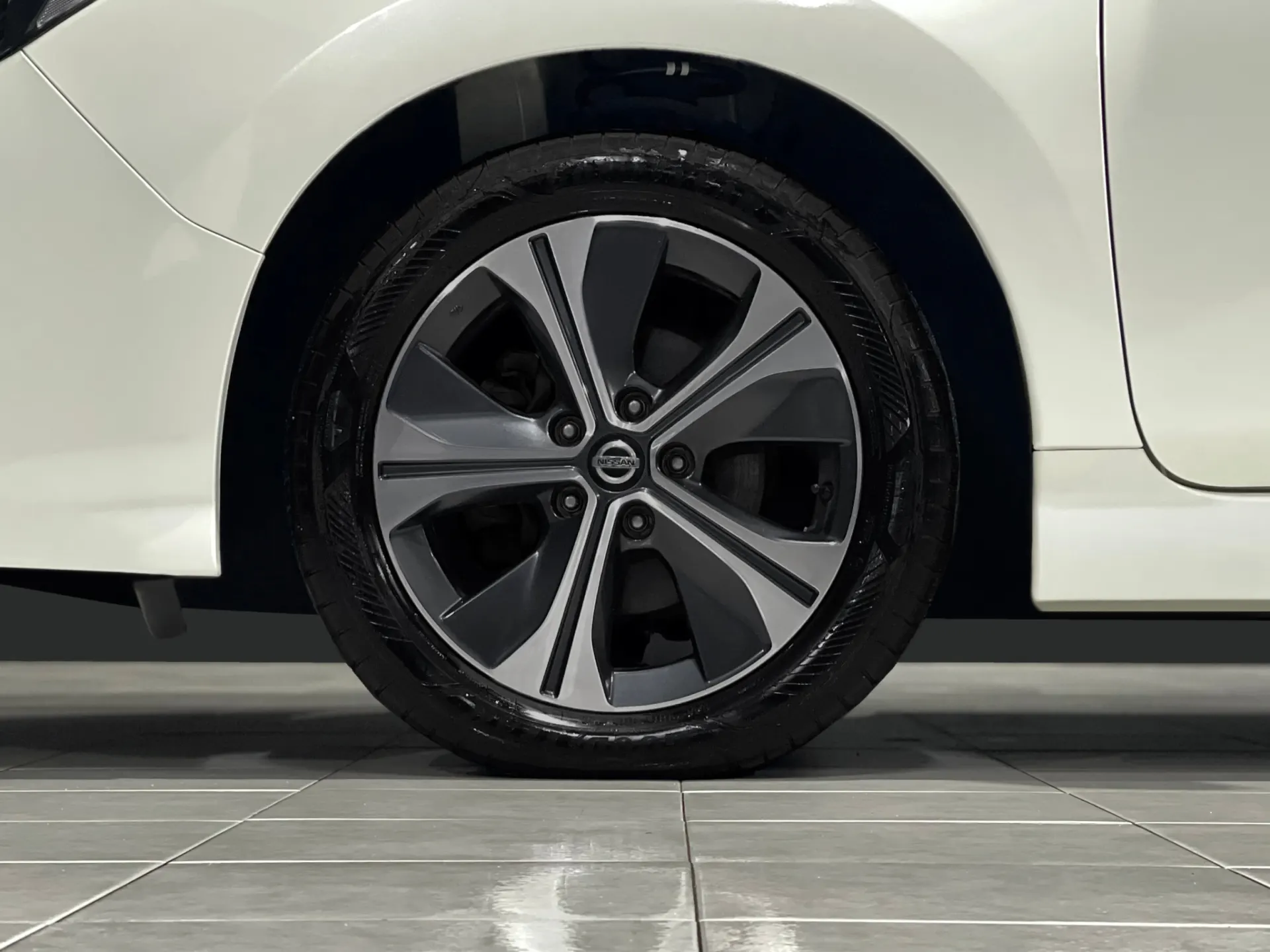 Nissan Leaf E+ ACENTA 13