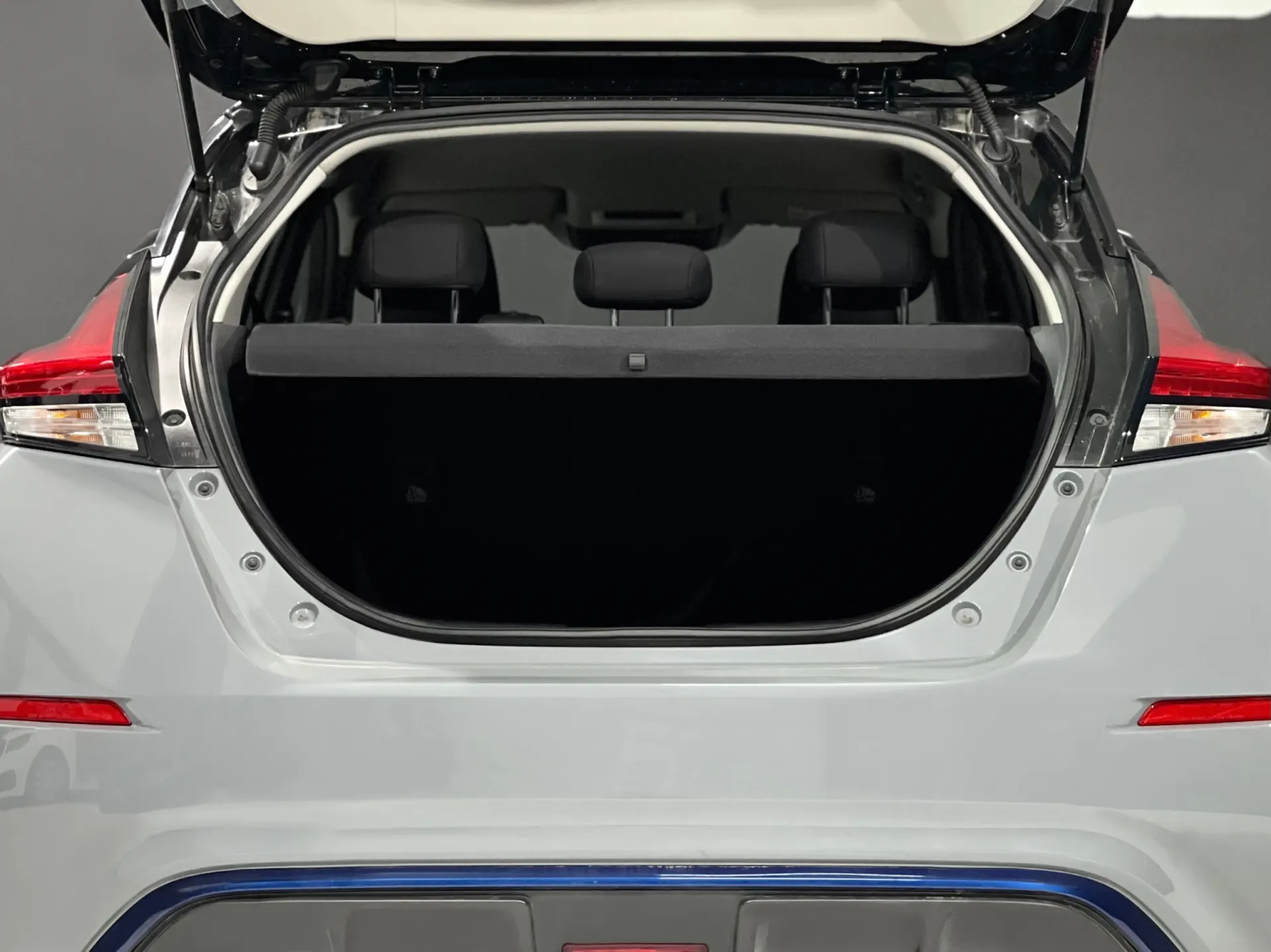 Nissan Leaf 10º Aniversário 12