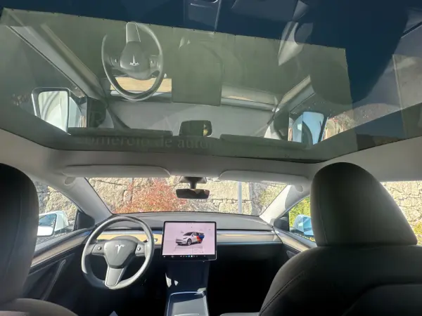 Tesla Model Y RWD 17