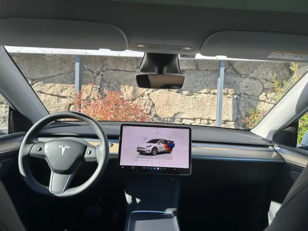 Tesla Model Y RWD 16