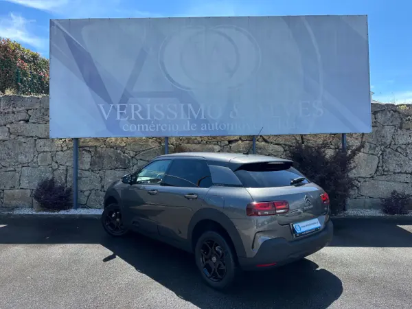 Citroen C4 Cactus 1.2 PureTech Shine Pack 9