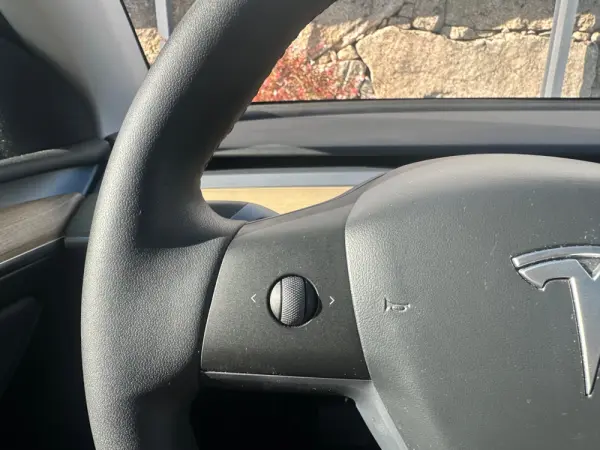 Tesla Model Y RWD 22
