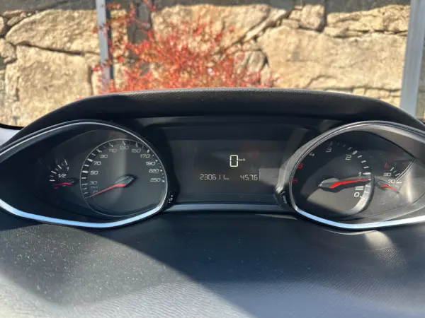 Peugeot 308 SW 1.6 BlueHDi Active 17