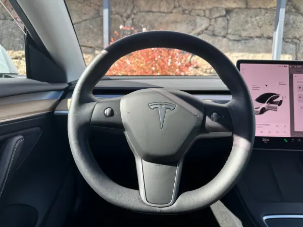 Tesla Model 3 Long Range AWD Dual Motor 17