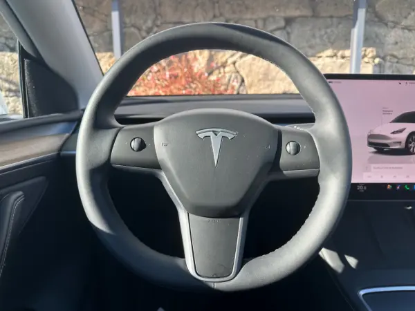 Tesla Model Y RWD 18