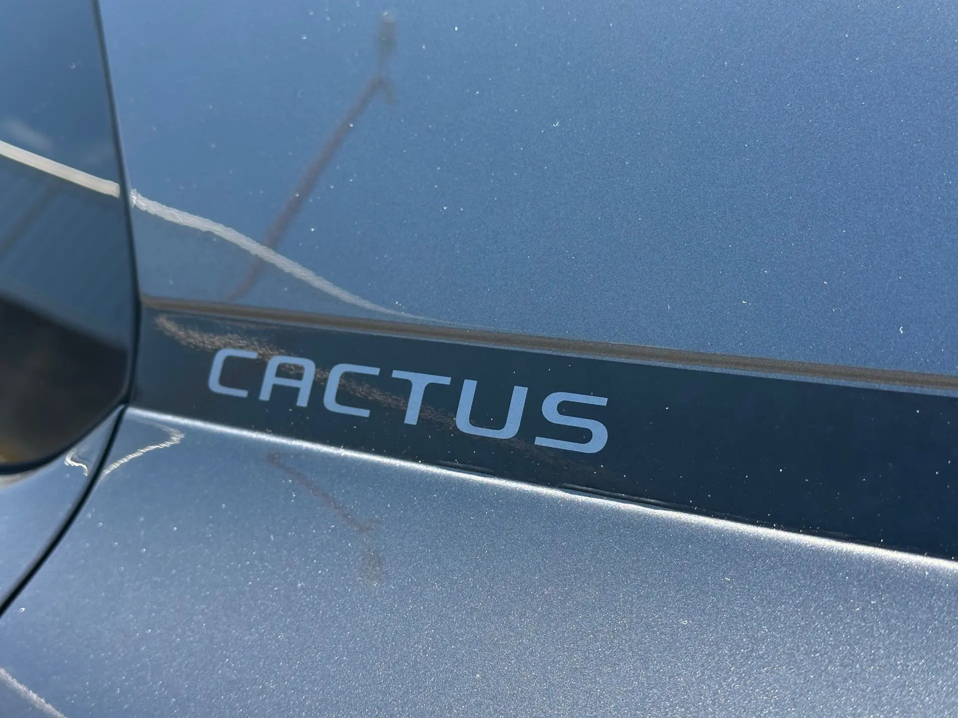 Citroen C4 Cactus 1.2 PureTech Shine Pack 11