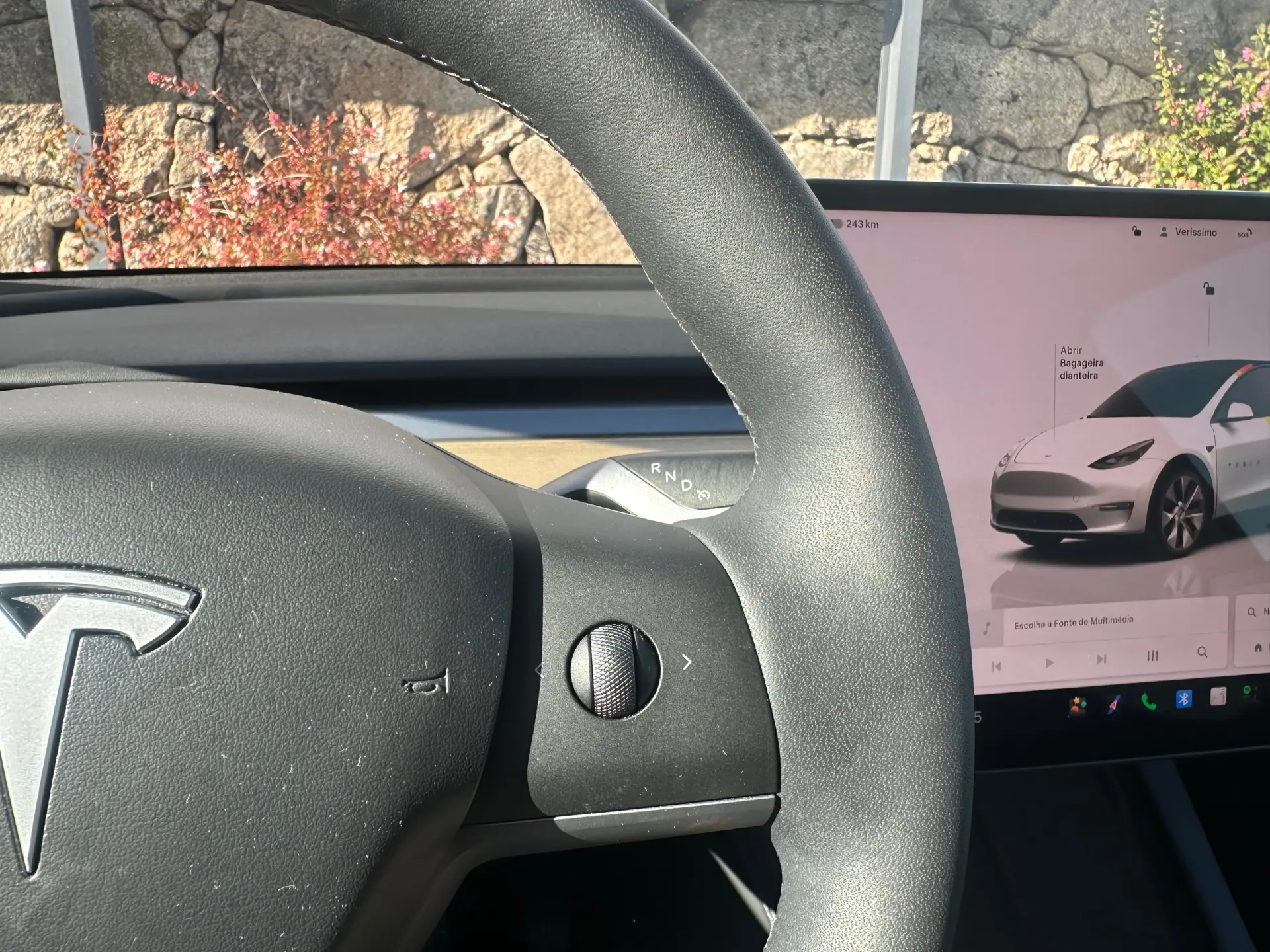 Tesla Model Y RWD 21
