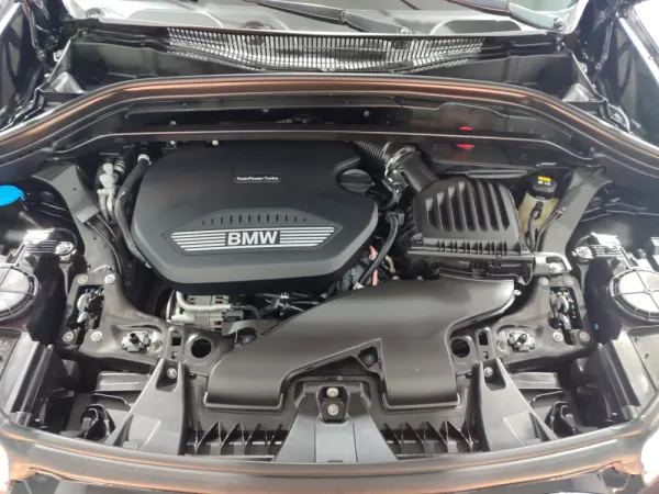 BMW X1 16 d sDrive Advantage Auto 42