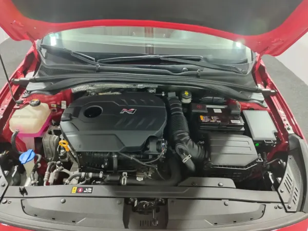 Hyundai i30 N 2.0 T-GDi Pack Performance 8DCT 38