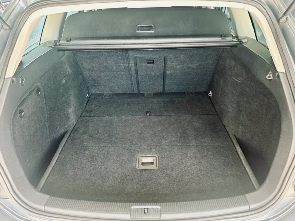 Volkswagen Golf Variant 20