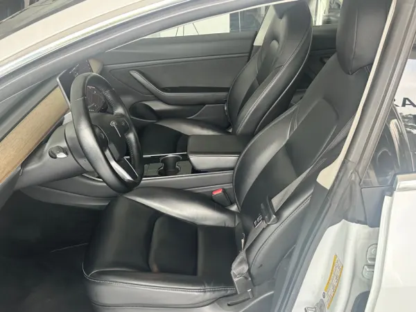 Tesla Model 3 Standard Range Plus RWD 10