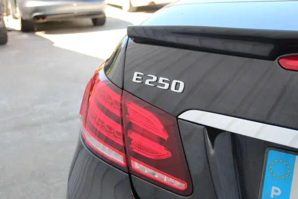 Mercedes-Benz E 250 BlueTEC Auto 19