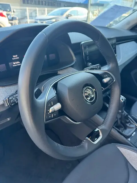 Skoda Kamiq 1.0 TSI Style DSG 9