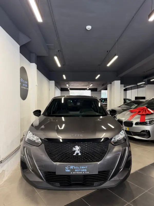 Peugeot 2008 1.2 PureTech Active Pack 1