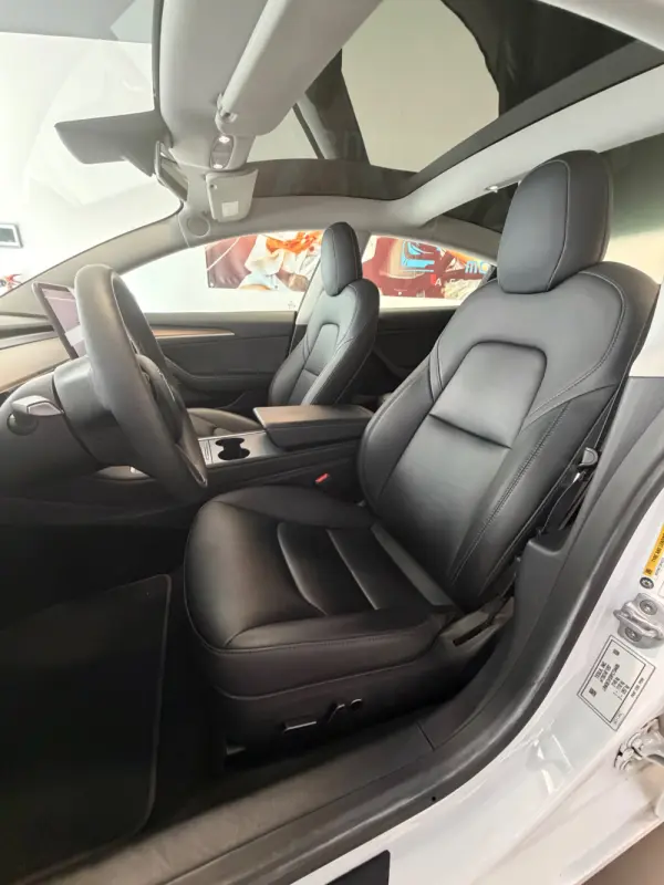 Tesla Model 3 Standard Range Plus RWD 12