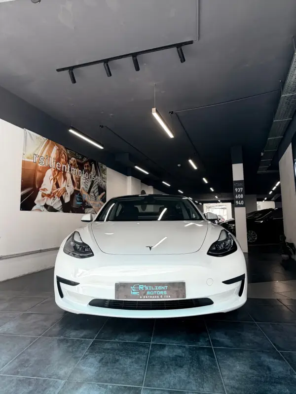 Tesla Model 3 Standard Range Plus RWD 6