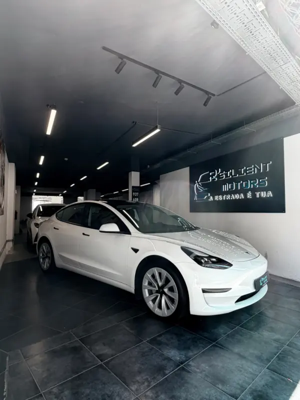 Tesla Model 3 Standard Range Plus RWD 2