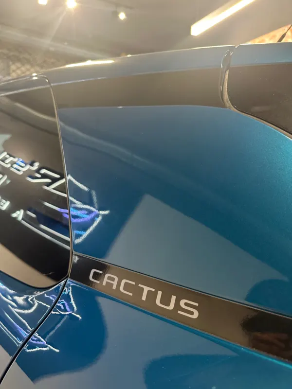 Citroën C4 Cactus 12