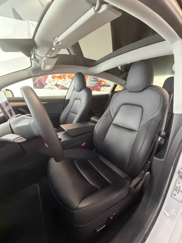 Tesla Model 3 Standard Range Plus RWD 11