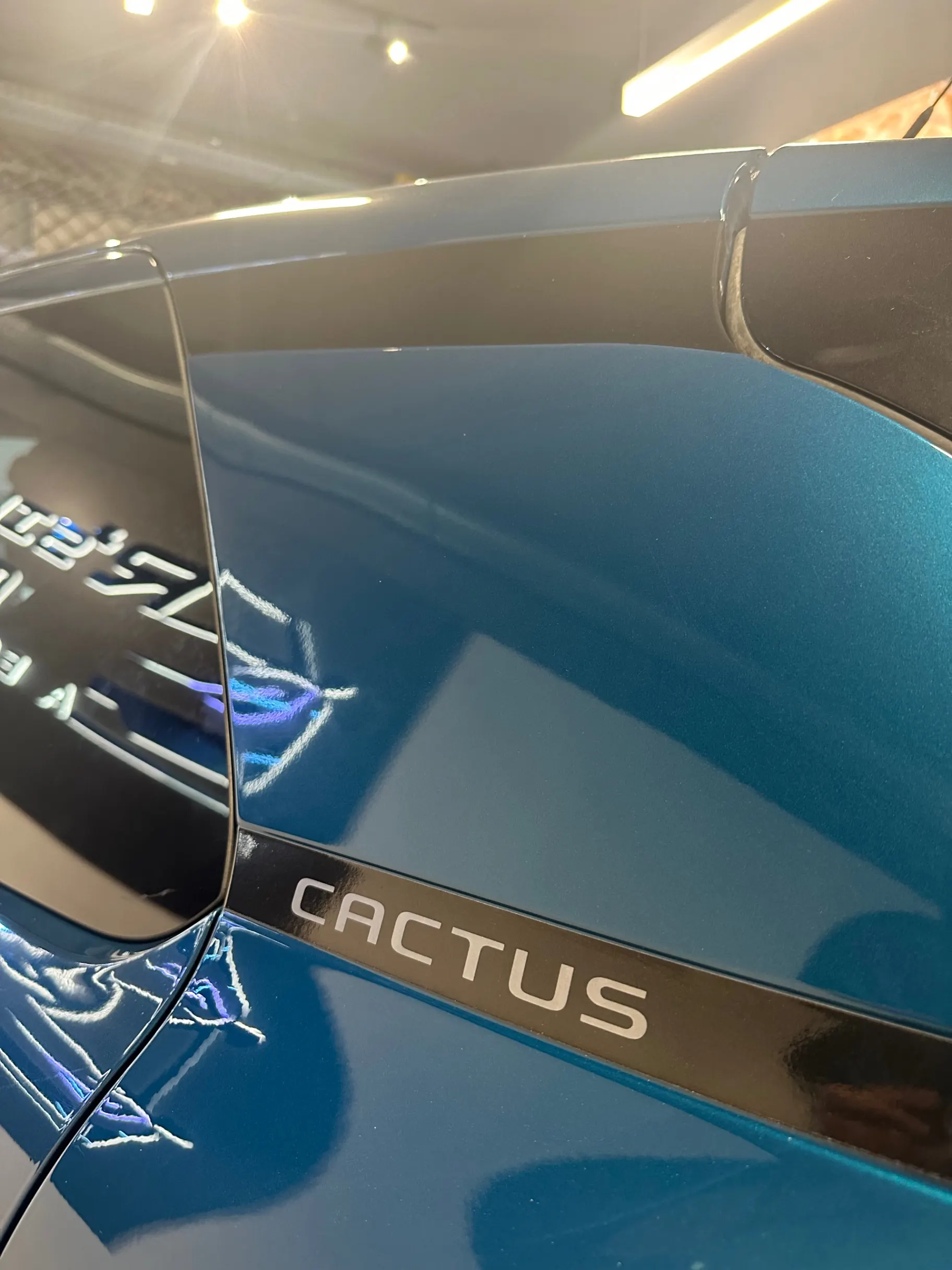 Citroën C4 Cactus 12