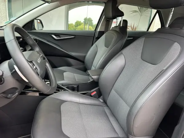 Kia Niro EV 64kWh 14